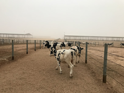 Al Hamra Dairy Farm - Al kharj - +966 54 590 4451