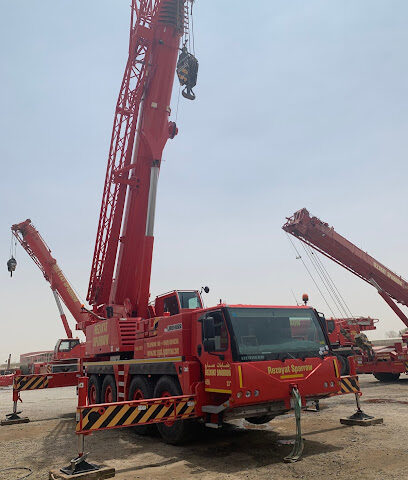 Rezayat Sparrow - Yanbu -