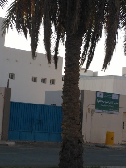 Model School Horizons Medium - Al Bukayriyah 52729