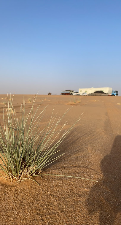 السليل - Saudi Arabia|As Sulayyil 18211|Unnamed Road|FH6M+C54