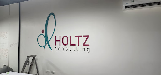 Holtz Consulting Co. - Riyadh - +966 9200 01484