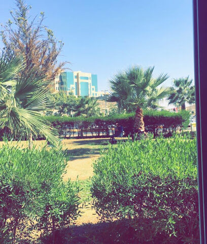 College of Engineering - Abha - +966 17 241 8816