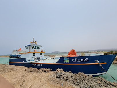 Saudi Fish Company -  - +966 17 240 0441