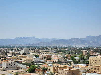 Hayat Najran Hotel Restaurant - Najran - +966 17 523 3344