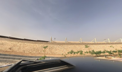KSU Riyadh Femco Site - Riyadh -