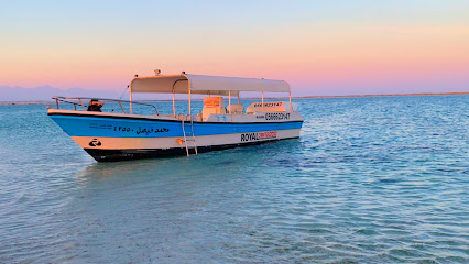 محمد فيصل للرحلات البحرية - Yanbu - +966 53 332 9923