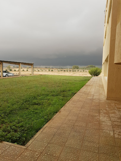 College of Public Health and Health Informatics - Saudi Arabia|Al Bukayriyah 52741|King Abdulaziz Rd
