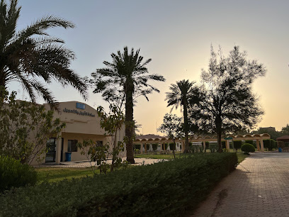 عمادة القبول والتسجيل - Riyadh - +966 11 805 4402