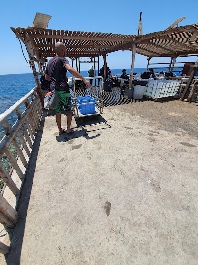 Dive Point نقطة الغوص - Jeddah 23812