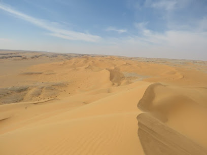 شركة مسعود بالعيد حيدر ال حيدر للتجارة والمقاولات العامه - Najran - +966 50 572 4412