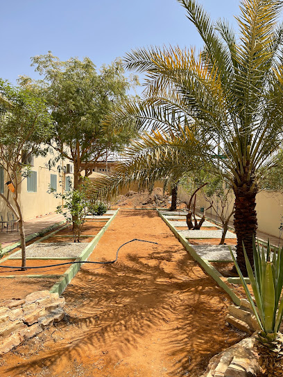 Educational studio - Az Zulfi 15972