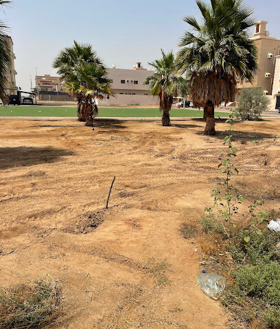 حديقة الصفا الشرقي العامة - Rabigh -