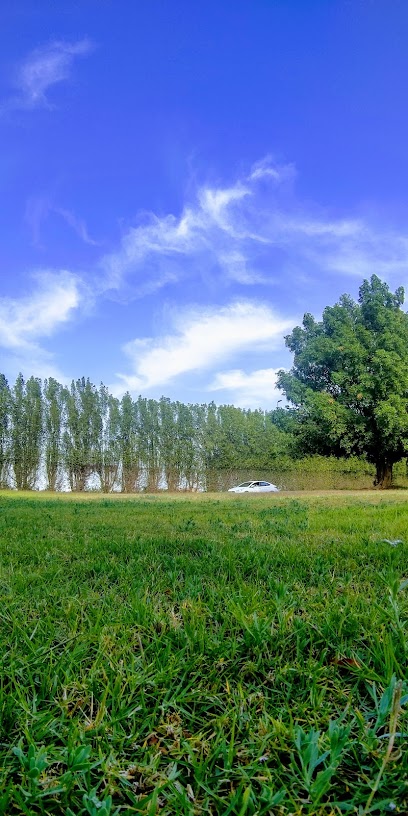 Buqayq - Saudi Arabia|Buqayq 33264|Unnamed Road|WH8J+4MQ