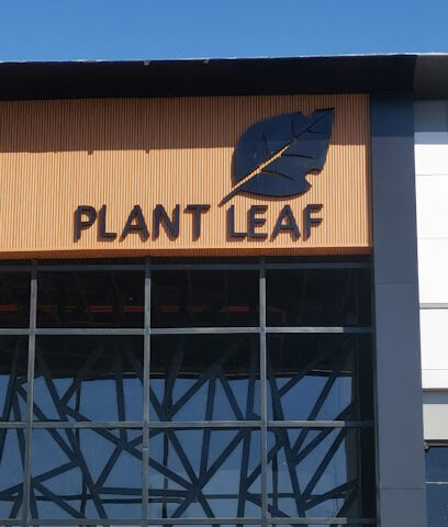 بلانت ليف | PLANT LEAF CAFE - Tabuk -