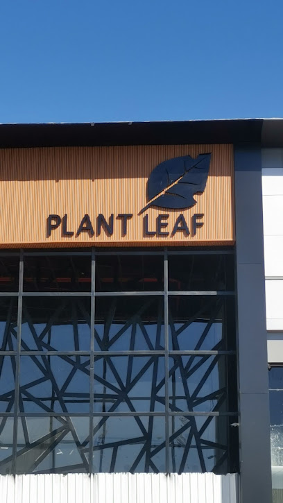 بلانت ليف | PLANT LEAF CAFE - Saudi Arabia|Tabuk 47311|6206،|3830 Al Imam Turki Ibn Abdullah Rd