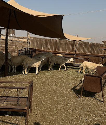 Sendan Laydownyard - Yanbu -