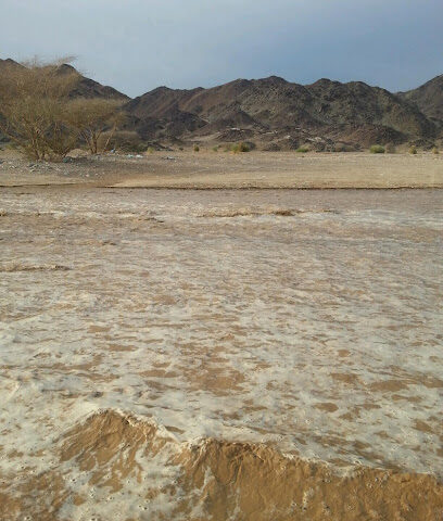 شركة مرافق - شركة مرافق الكهرباء والمياه - Yanbu - +966 14 396 3555