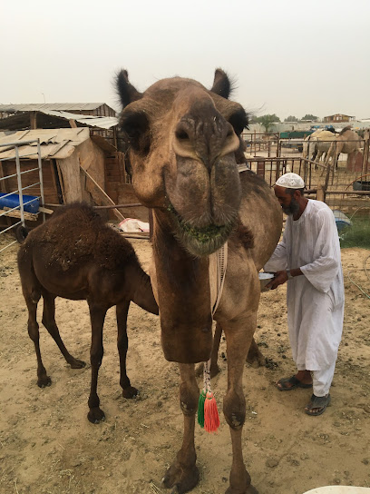accountant - Saudi Arabia|Dammam 34323|الصناعيه الثانيه