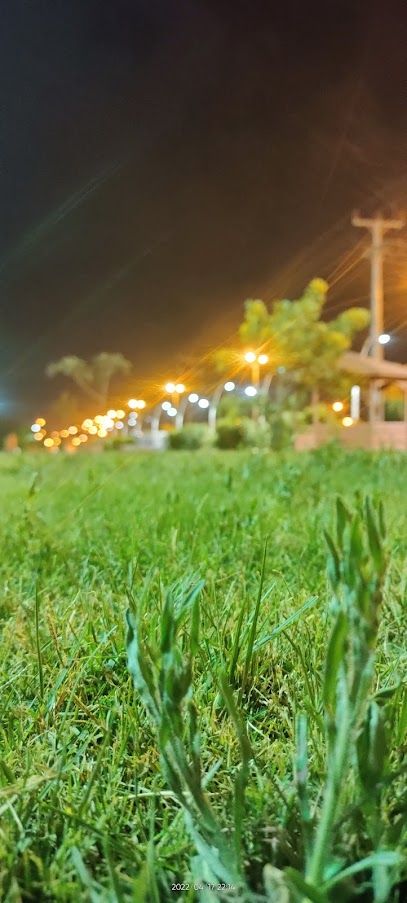 حديقه النقيع - Saudi Arabia|بيشة 67831|النقيع،|6MRX+CXX