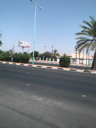 Community College - Bisha 67714