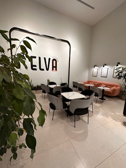 ELVA - Saudi Arabia|Abu Arish 45911|الحزام الجنوبي