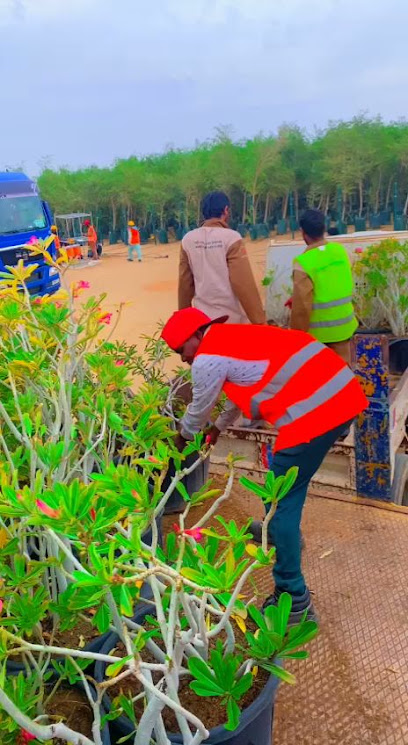 Initial landscaping (Project office) - Saudi Arabia|Hanak 48512|G25R+86