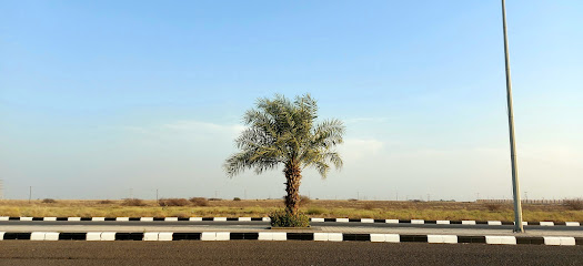 الكلية التقنية بصامطة -  -