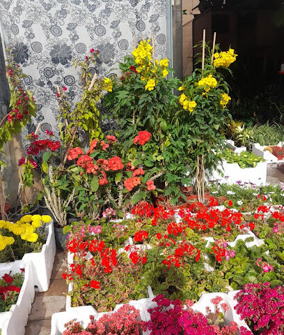 Nursery - Riyadh -
